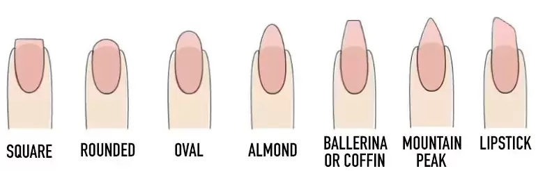 An array of different nail shapes for a manicure